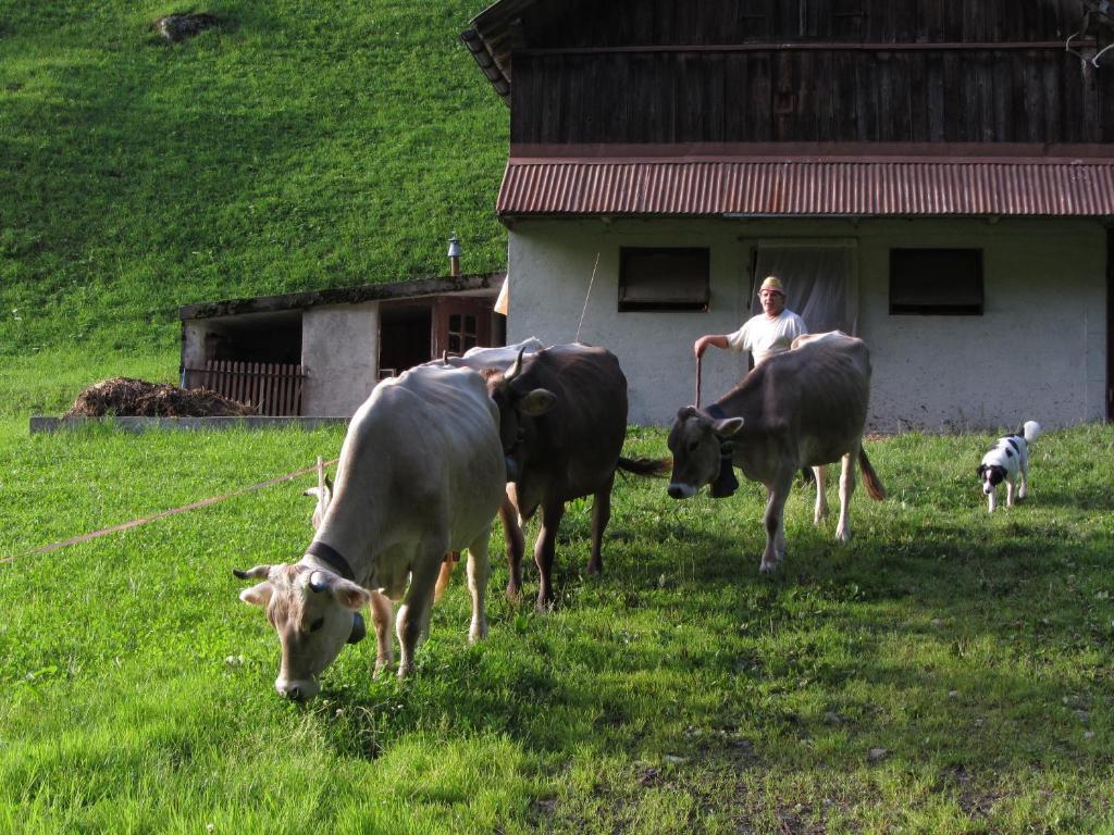 Ferienstudio In Unterschaechen Номер фото